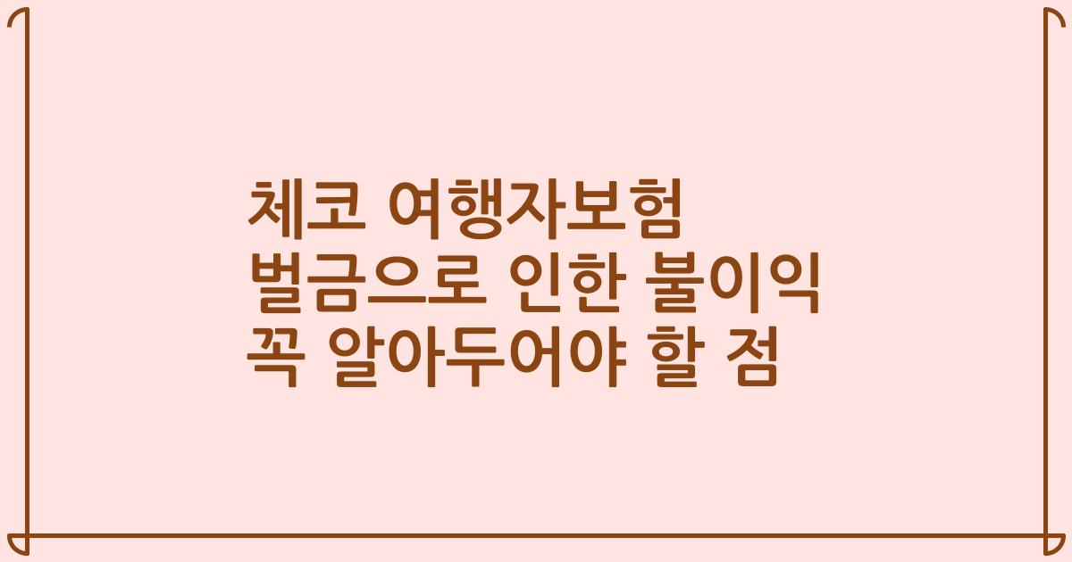 체코 여행자보험 벌금으로 인한 불이익 꼭 알아두어야 할 점