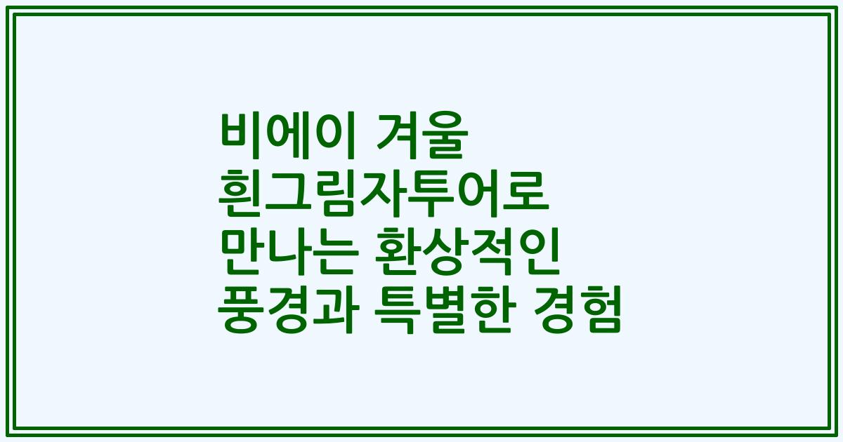비에이 겨울 흰그림자투어로 만나는 환상적인 풍경과 특별한 경험